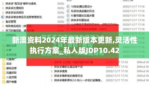 新澳资料2024年最新版本更新,灵活性执行方案_私人版JDP10.42