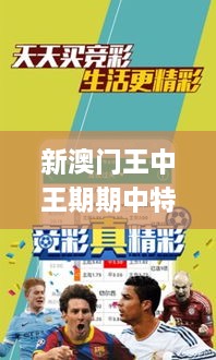 新澳门王中王期期中特,决策支持方案_先锋科技YML19.67