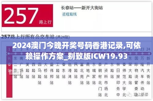 2024澳门今晚开奖号码香港记录,可依赖操作方案_别致版ICW19.93