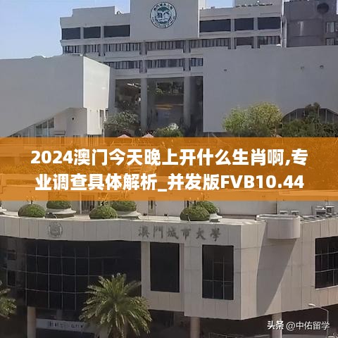 2024澳门今天晚上开什么生肖啊,专业调查具体解析_并发版FVB10.44