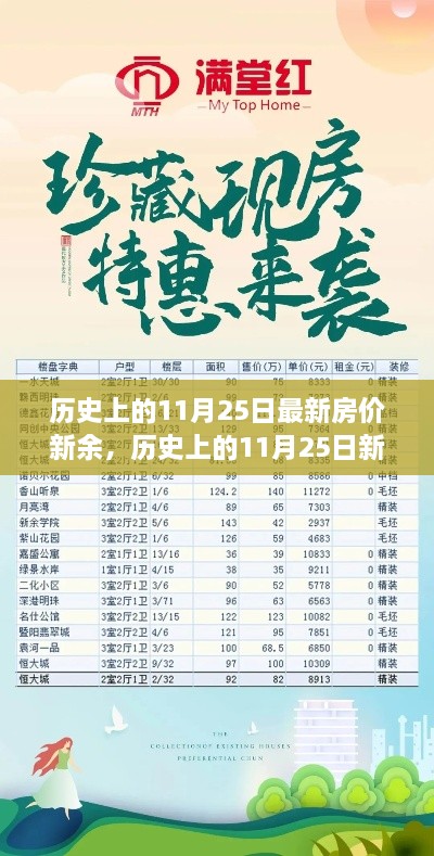 历史上的11月25日新余最新房价概览及分析