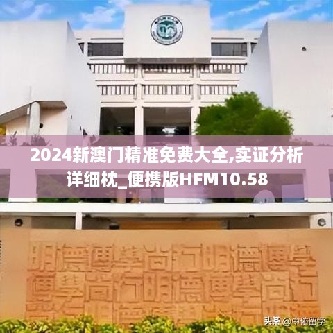 2024新澳门精准免费大全,实证分析详细枕_便携版HFM10.58