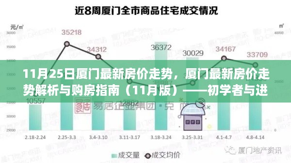 初学者与进阶用户共融，厦门最新房价走势解析及购房指南（11月版）