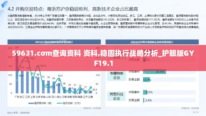 59631.cσm查询资科 资科,稳固执行战略分析_护眼版GYF19.1