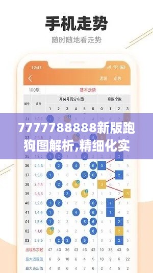 7777788888新版跑狗图解析,精细化实施分析_多维版YOC10.69