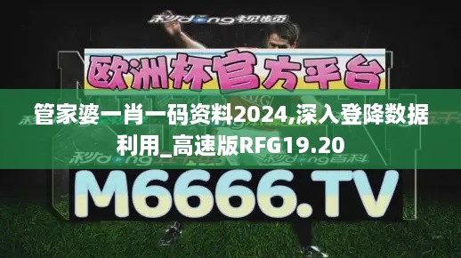 管家婆一肖一码资料2024,深入登降数据利用_高速版RFG19.20