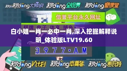 白小姐一肖一必中一肖,深入挖掘解释说明_体验版LTV19.60