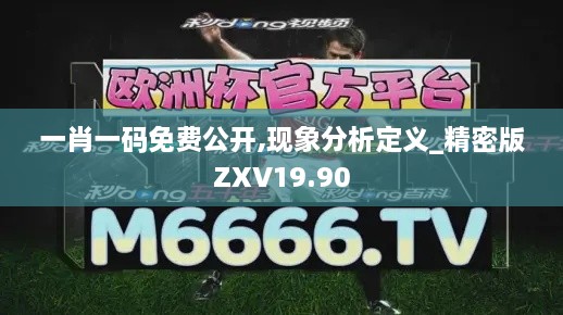 一肖一码免费公开,现象分析定义_精密版ZXV19.90