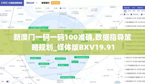 新澳门一码一码100准确,数据指导策略规划_媒体版BXV19.91