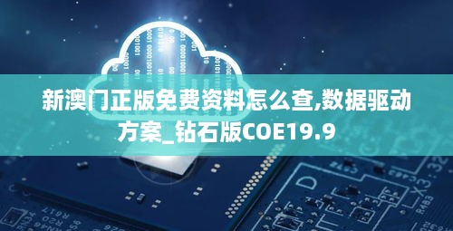 新澳门正版免费资料怎么查,数据驱动方案_钻石版COE19.9