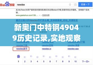 新奥门中特钢49049历史记录,实地观察解释定义_儿童版DEX19.83