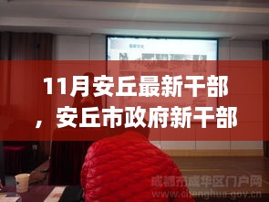 安丘市政府新干部风采深度解析与评估，11月最新干部概览