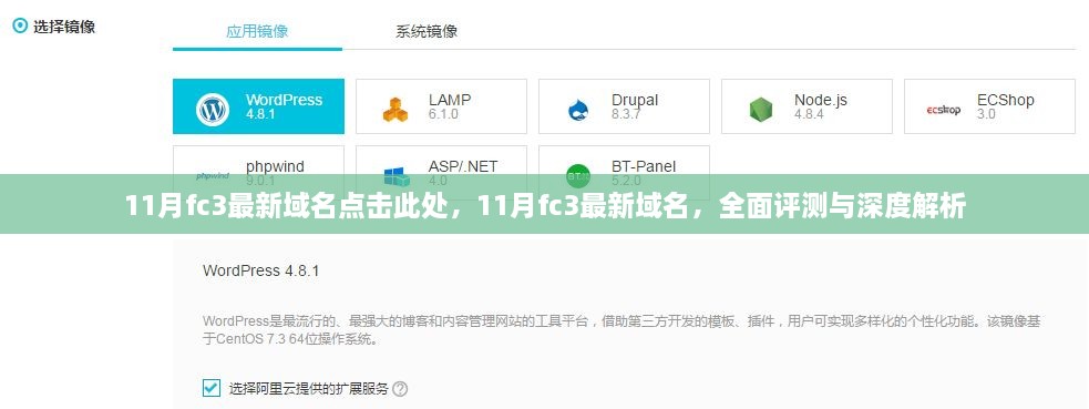 11月FC3最新域名全面评测与深度解析，点击此处揭秘