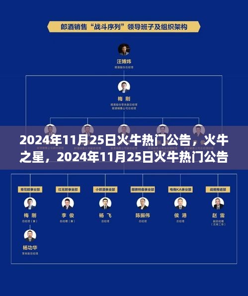 2024年11月25日火牛热门公告，全方位评测火牛之星