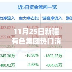 新疆有色集团重磅新闻回顾，深度解读与影响回顾（11月25日）