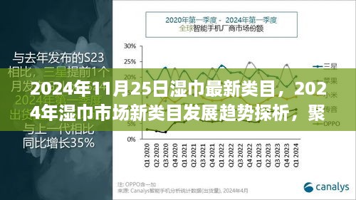 2024年湿巾市场新类目探析，未来湿巾市场的多元变革与趋势预测