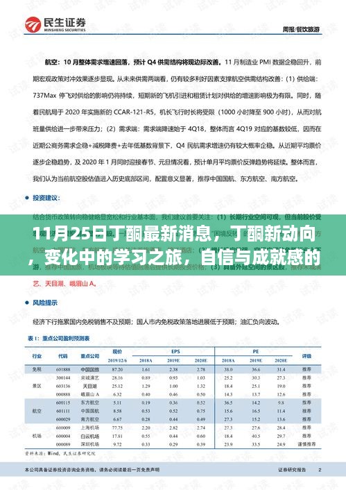 11月25日丁酮市场最新动态，学习之旅中的鼓舞之风与自信成就之源