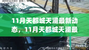 11月天都城天澜最新动态全解析，观点分析与个人立场阐述