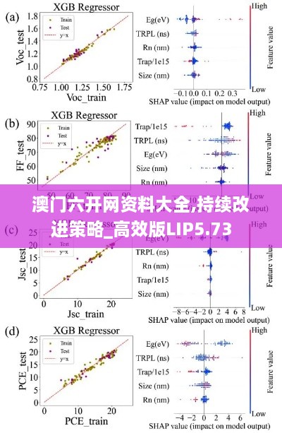 澳门六开网资料大全,持续改进策略_高效版LIP5.73