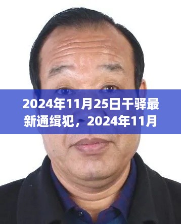 揭秘干驿地区最新通缉犯，2024年11月25日追捕行动追踪