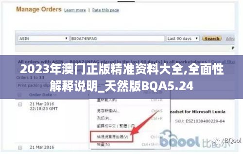 2023年澳门正版精准资料大全,全面性解释说明_天然版BQA5.24