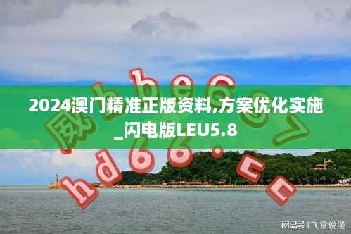 2024澳门精准正版资料,方案优化实施_闪电版LEU5.8