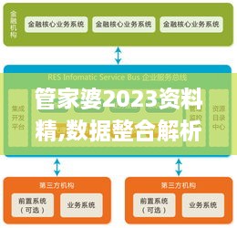 管家婆2023资料精,数据整合解析计划_多元文化版NXQ14.36