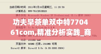 功夫早茶单双中特770461com,精准分析实践_商务版JBA14.25