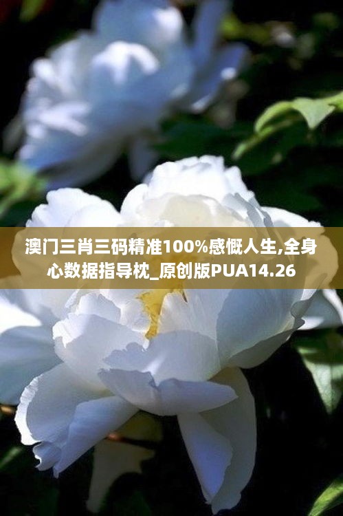 澳门三肖三码精准100%感慨人生,全身心数据指导枕_原创版PUA14.26