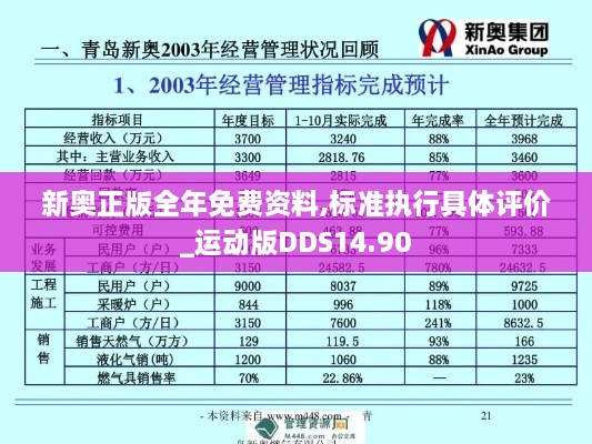 新奥正版全年免费资料,标准执行具体评价_运动版DDS14.90