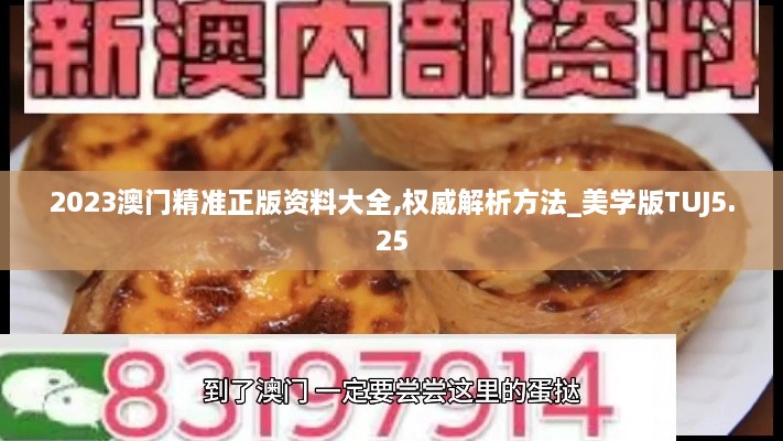 2023澳门精准正版资料大全,权威解析方法_美学版TUJ5.25