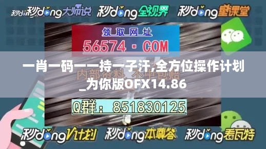 一肖一码一一持一子汗,全方位操作计划_为你版OFX14.86