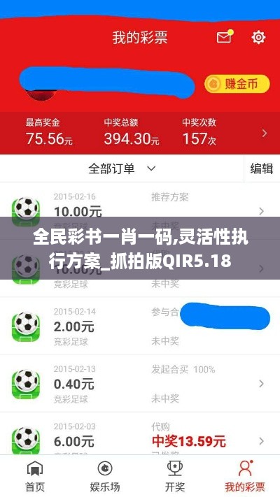 全民彩书一肖一码,灵活性执行方案_抓拍版QIR5.18