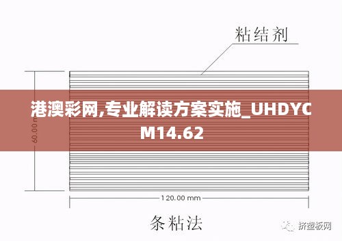 港澳彩网,专业解读方案实施_UHDYCM14.62