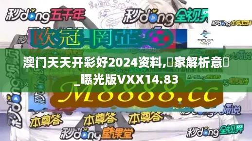 澳门天天开彩好2024资料,專家解析意見_曝光版VXX14.83