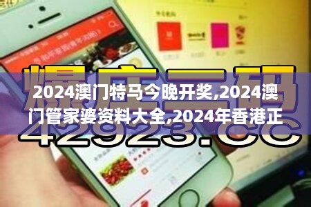 2024澳门特马今晚开奖,2024澳门管家婆资料大全,2024年香港正版资料免费大全,,快速解决方式指南_智力版HHP14.31