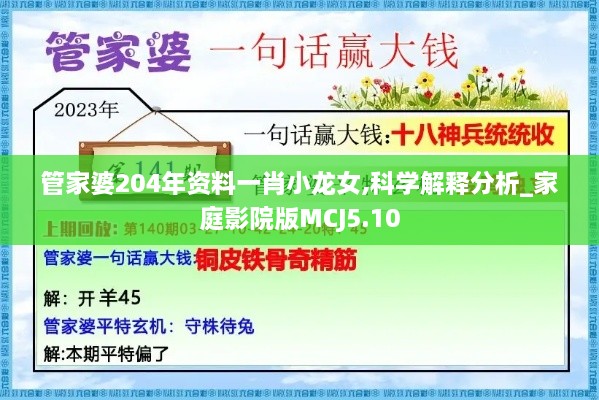 2024年11月28日 第13页