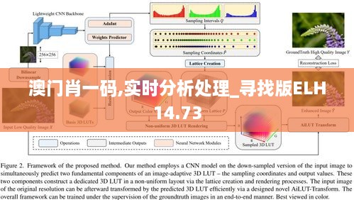 澳门肖一码,实时分析处理_寻找版ELH14.73