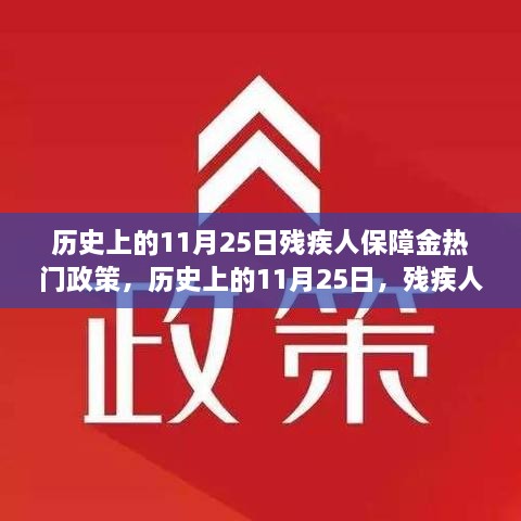 历史上的11月25日残疾人保障金政策回顾，心灵之旅与探寻自然美景的宁静力量