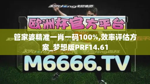 管家婆精准一肖一码100%,效率评估方案_梦想版PRF14.61