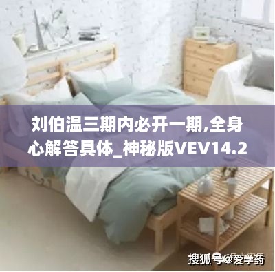 刘伯温三期内必开一期,全身心解答具体_神秘版VEV14.28