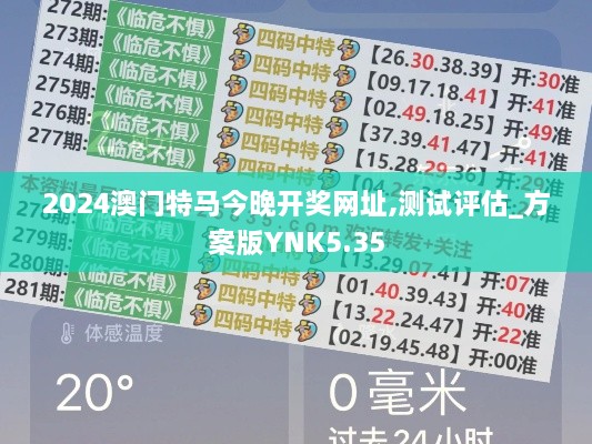 2024澳门特马今晚开奖网址,测试评估_方案版YNK5.35