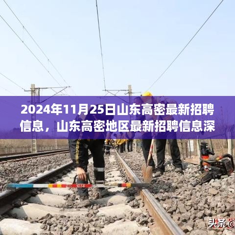 2024年11月25日山东高密最新招聘信息深度解析与评测