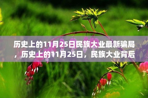 历史上的11月25日，揭秘民族大业背后的真相与骗局反思