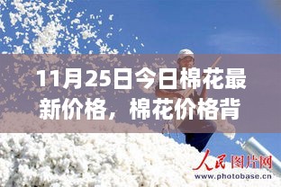 11月25日棉花最新价格揭秘，棉花背后的暖心故事与温馨探秘之旅