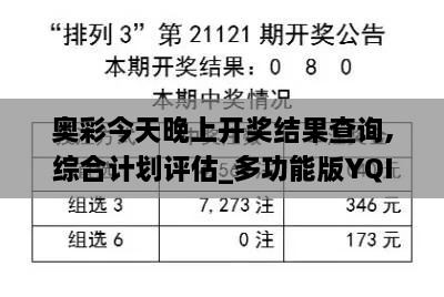 奥彩今天晚上开奖结果查询,综合计划评估_多功能版YQI14.62