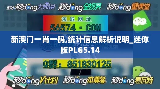 新澳门一肖一码,统计信息解析说明_迷你版PLG5.14