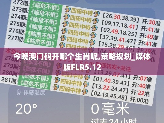 今晚澳门码开哪个生肖呢,策略规划_媒体版FLR5.12