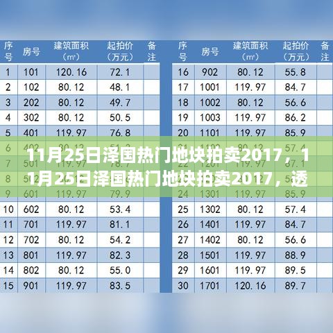 透视价值与发展前景，11月25日泽国热门地块拍卖2017