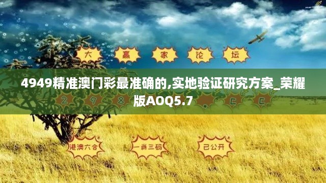 4949精准澳门彩最准确的,实地验证研究方案_荣耀版AOQ5.7